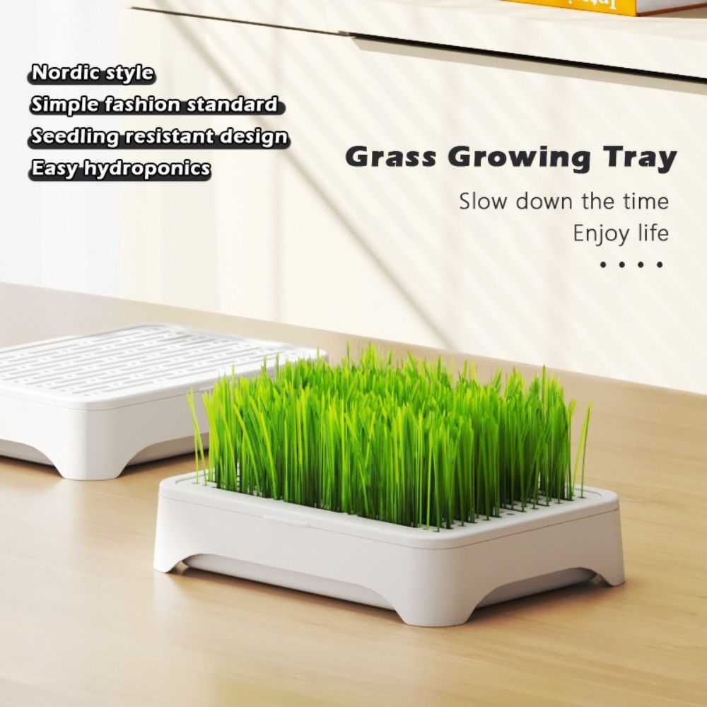 Grass Seed Spreader - Plastikowa taca hydroponiczna do sadzenia, samonawadniająca,