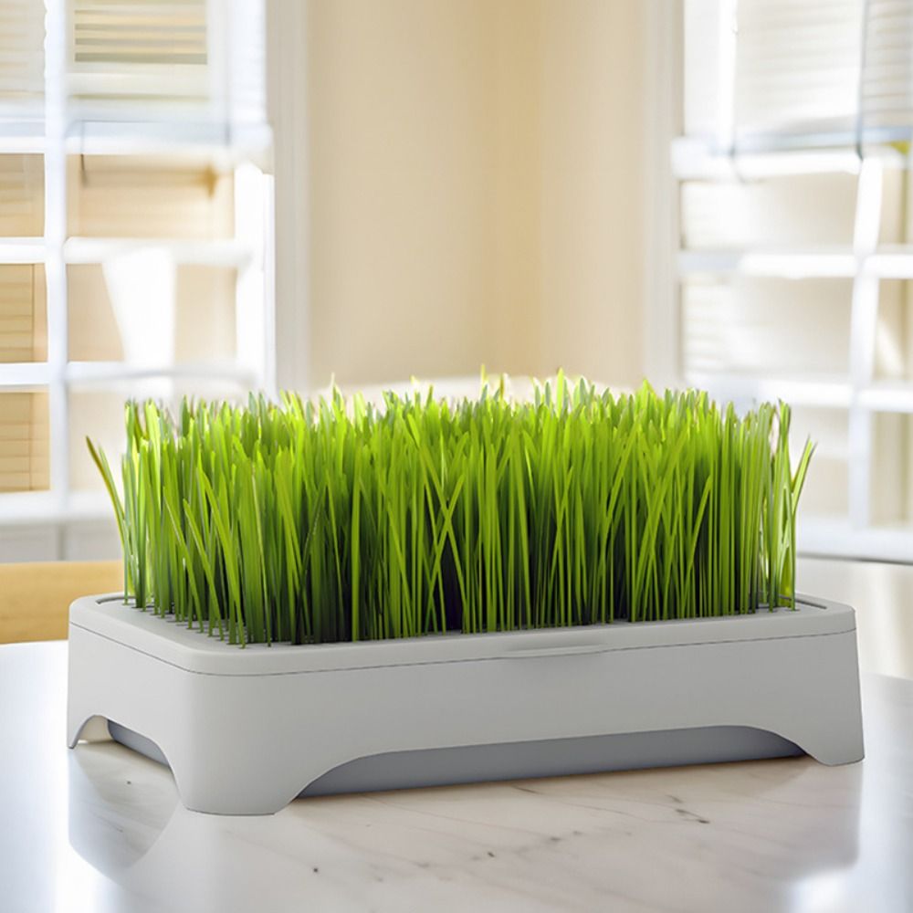Plastikowa taca hydroponiczna  – Grass Seed Spreader recenzja i cena