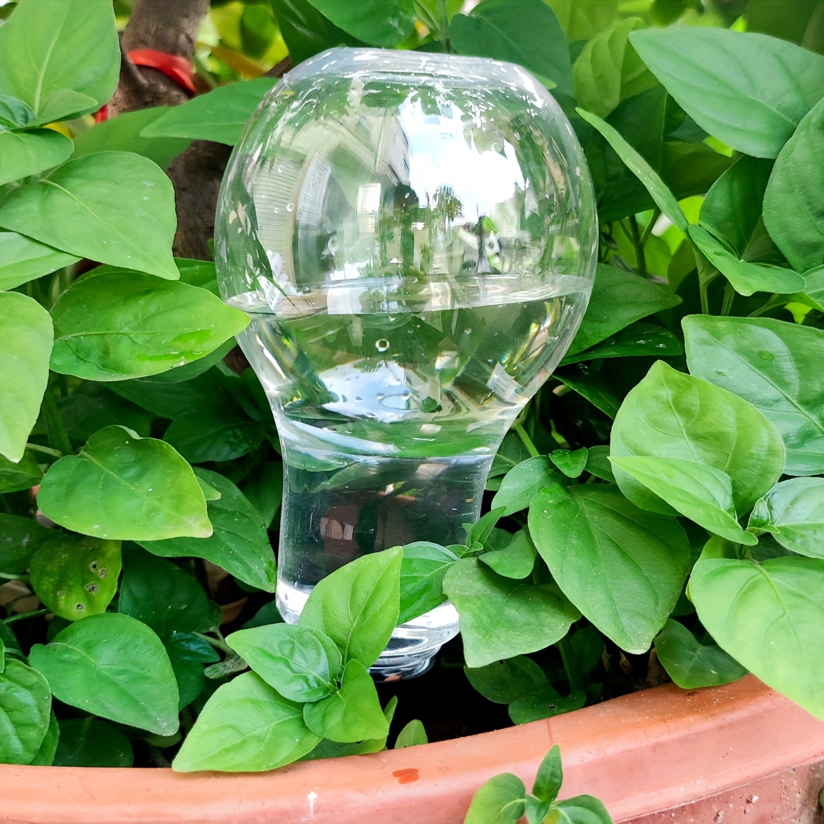 Ogrodowe automatyczne narzędzi – Gardening Tools Diy recenzja i cena