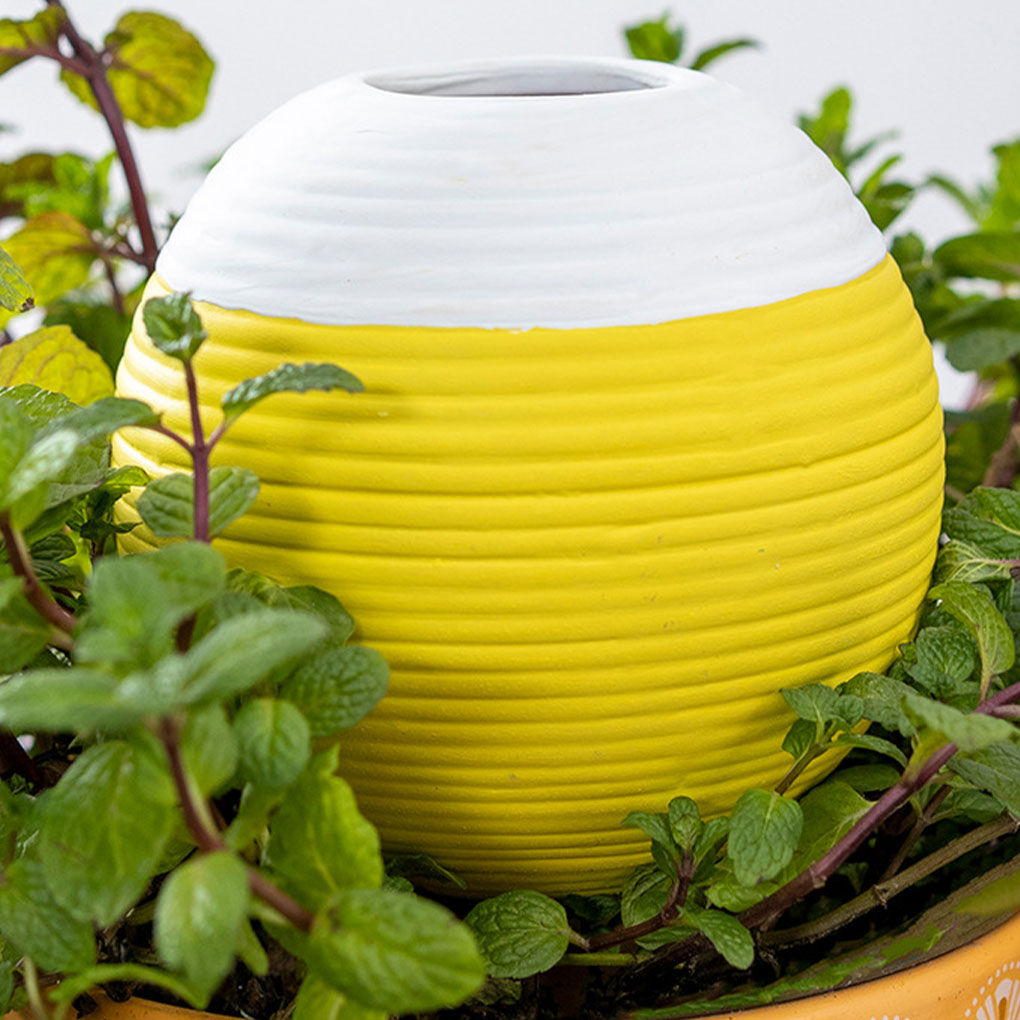 Automatyczny nawadniacz do roś – Gardening Tools Must Haves recenzja i cena