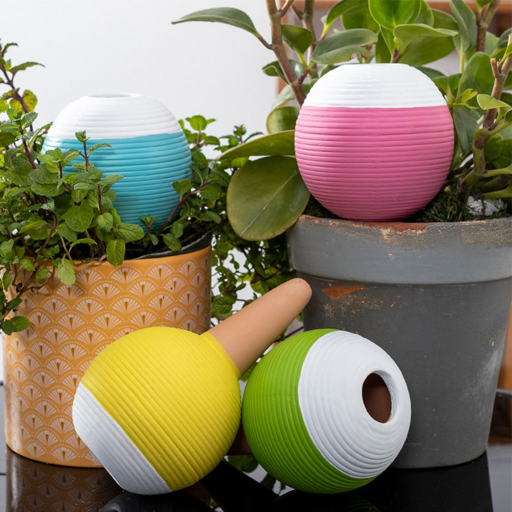 Automatyczny nawadniacz do roś – Gardening Tools Must Haves recenzja i cena