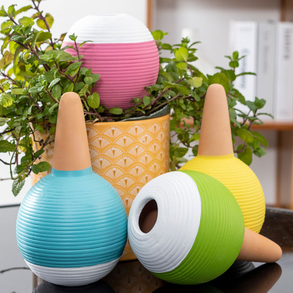 Automatyczny nawadniacz do roś – Gardening Tools Must Haves recenzja i cena