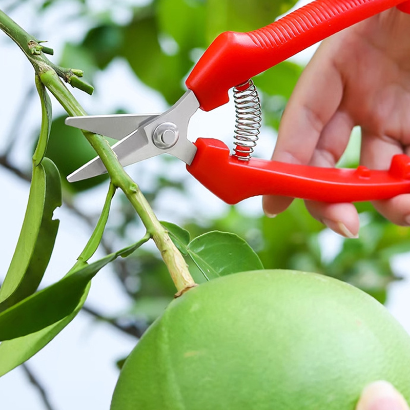 Nożyce jednoręczne do przycina – Gardening Tools To Cut Branches recenzja i cena