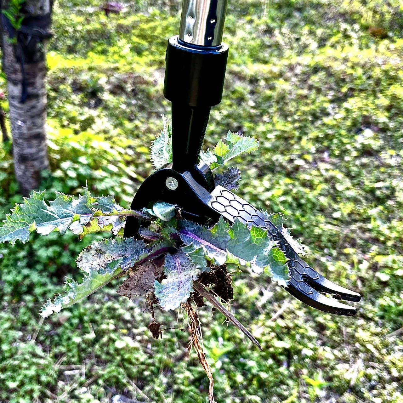 Oszczędność pracy Ręczny metal – Gardening Tools Needed recenzja i cena