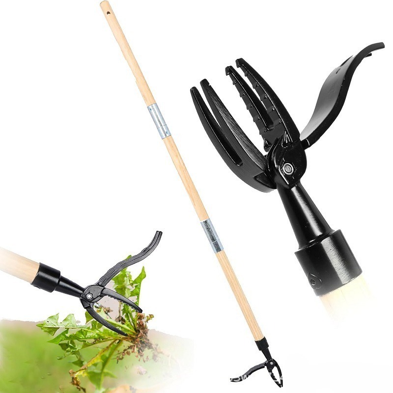 Narzędzie do usuwania chwastów – Grass Seed Spreader recenzja i cena