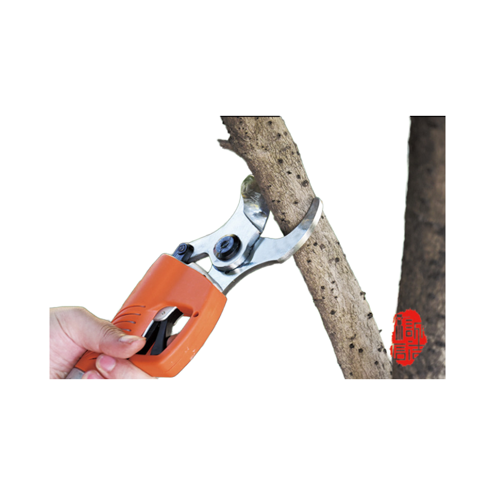 Akumulatorowe nożyce ogrodowe  – Gardening Tools To Cut Branches recenzja i cena