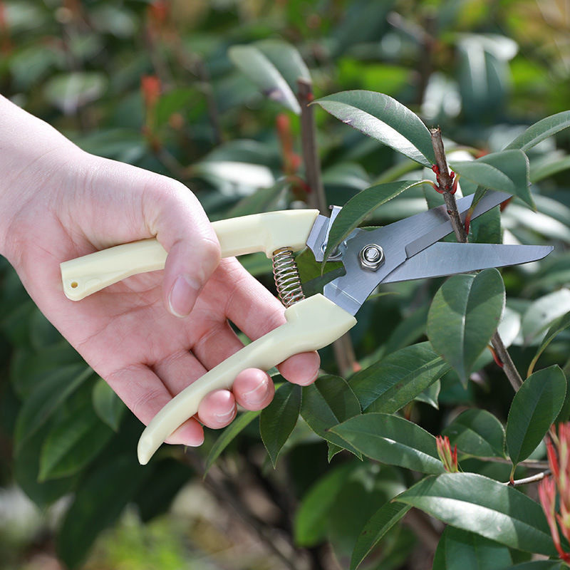 1 szt. Nożyce do przycinania z – Gardening Tools To Cut Branches recenzja i cena