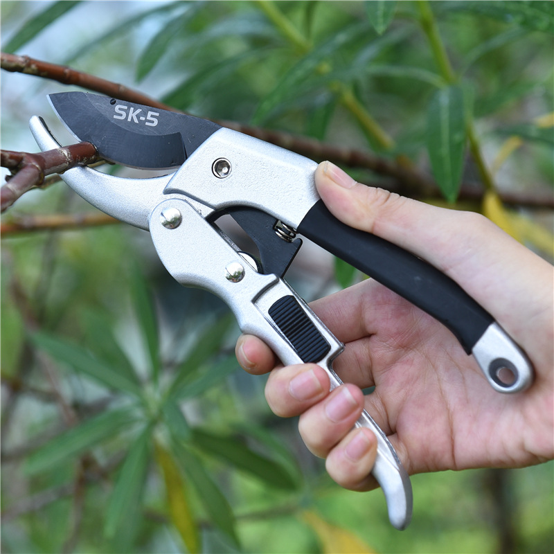 Nowy 20cm grzechotka do przyci – Gardening Tools To Cut Branches recenzja i cena