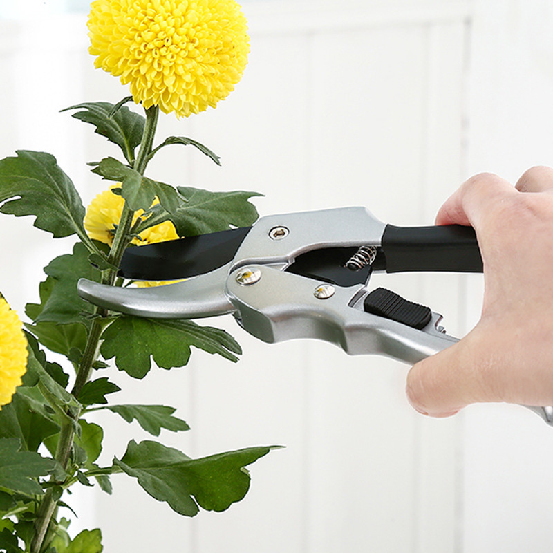 Nowy 20cm grzechotka do przyci – Gardening Tools To Cut Branches recenzja i cena